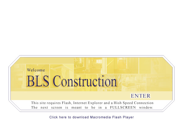 Macromedia Flash Player
