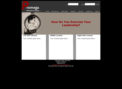 Promega mockup