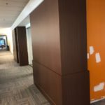 Shadow_Graphix_Architectural_DiNoc_Anthem_Hallway_4