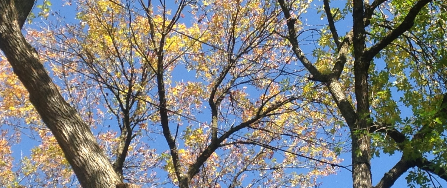 all phone pics 085